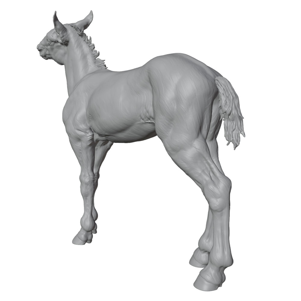 고정밀 인쇄, 사실적인 말 미니어처 레진 조각상, 수제 - Model Kit Horse 리뷰 및 가격
