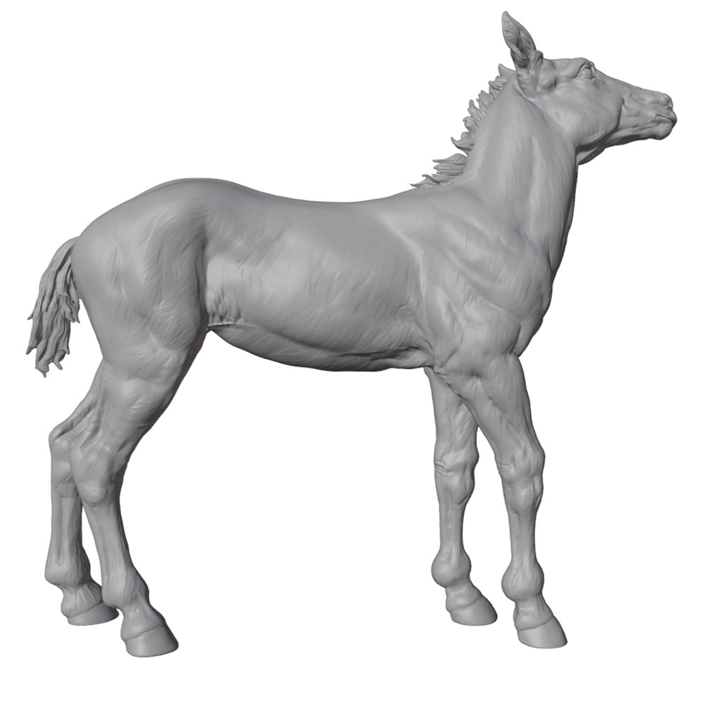 고정밀 인쇄, 사실적인 말 미니어처 레진 조각상, 수제 - Model Kit Horse 리뷰 및 가격